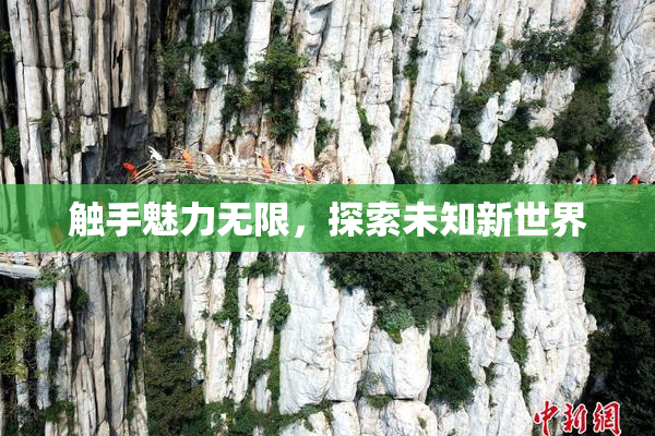 触手魅力无限，探索未知新世界