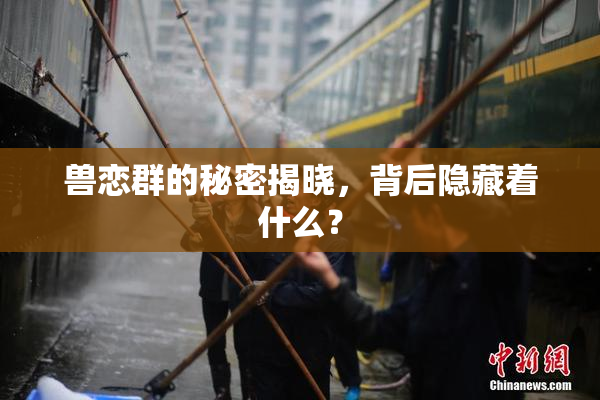 兽恋群的秘密揭晓，背后隐藏着什么？
