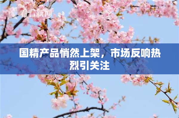 国精产品悄然上架，市场反响热烈引关注