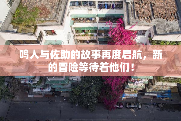 鸣人与佐助的故事再度启航，新的冒险等待着他们！