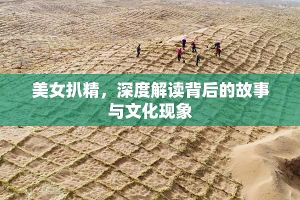 美女扒精，深度解读背后的故事与文化现象
