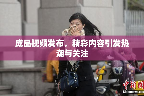 成品视频发布，精彩内容引发热潮与关注