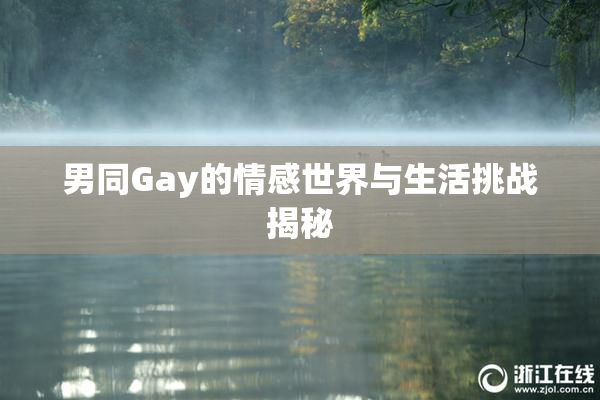 男同Gay的情感世界与生活挑战揭秘