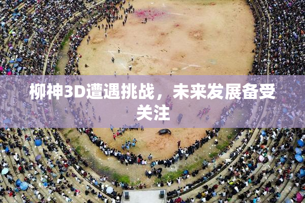 柳神3D遭遇挑战，未来发展备受关注