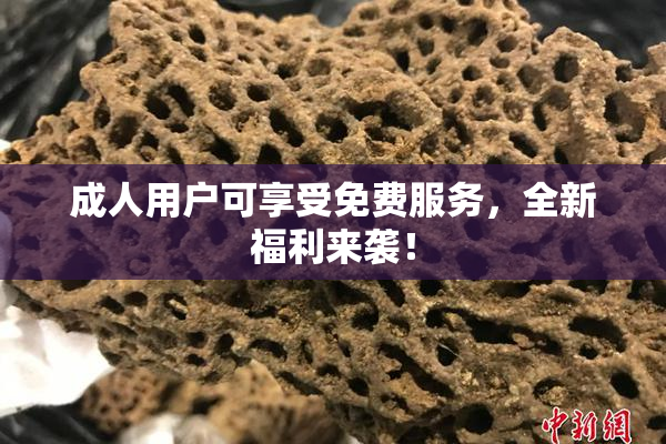 成人用户可享受免费服务，全新福利来袭！