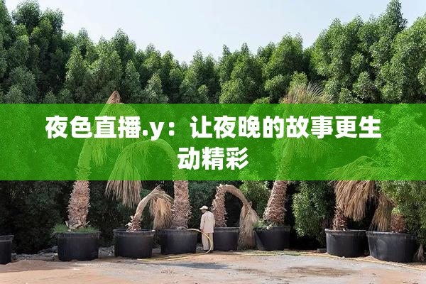 夜色直播.y：让夜晚的故事更生动精彩
