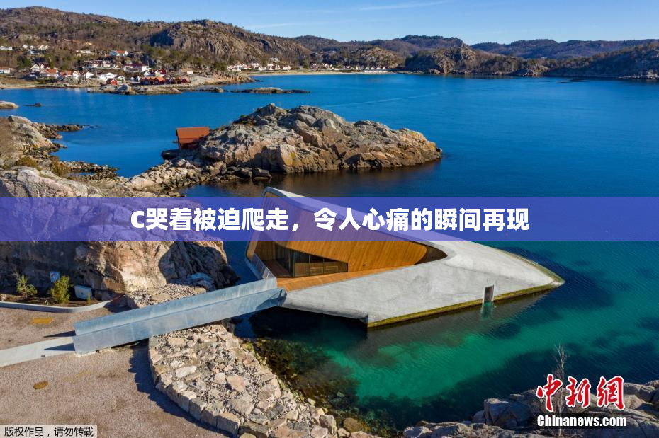 C哭着被迫爬走，令人心痛的瞬间再现