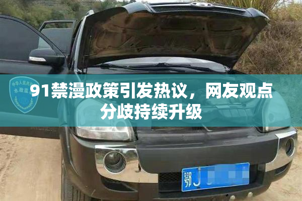 91禁漫政策引发热议，网友观点分歧持续升级