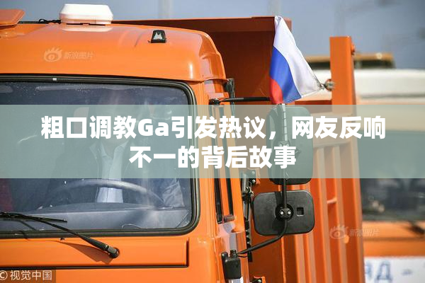 粗口调教Ga引发热议，网友反响不一的背后故事