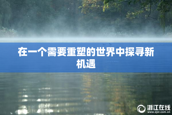 在一个需要重塑的世界中探寻新机遇
