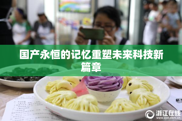 国产永恒的记忆重塑未来科技新篇章