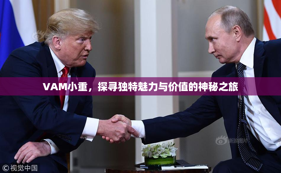 VAM小重，探寻独特魅力与价值的神秘之旅