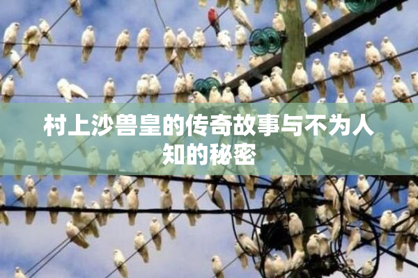 村上沙兽皇的传奇故事与不为人知的秘密