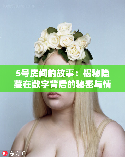 5号房间的故事：揭秘隐藏在数字背后的秘密与情感
