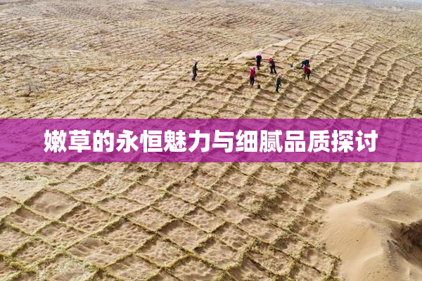 嫩草的永恒魅力与细腻品质探讨