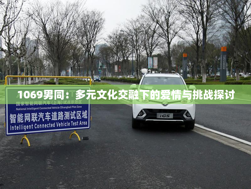 1069男同：多元文化交融下的爱情与挑战探讨