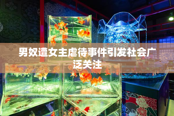 男奴遭女主虐待事件引发社会广泛关注