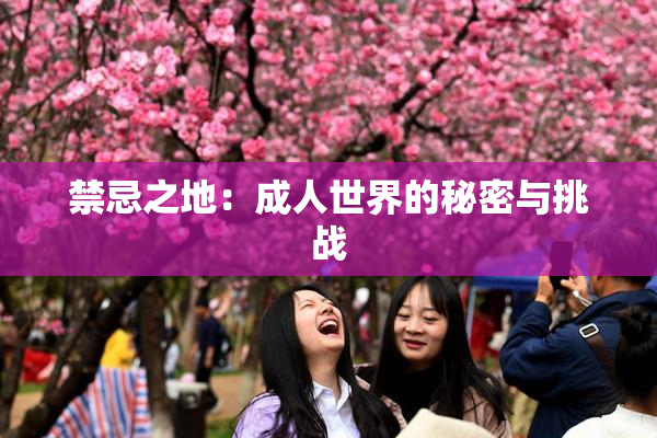 禁忌之地：成人世界的秘密与挑战