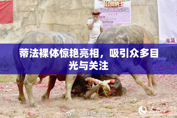 蒂法裸体惊艳亮相，吸引众多目光与关注