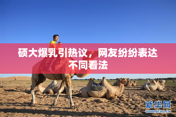 硕大爆乳引热议，网友纷纷表达不同看法