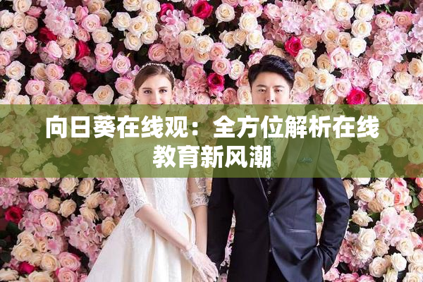 向日葵在线观：全方位解析在线教育新风潮