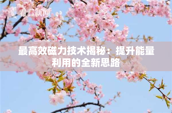 最高效磁力技术揭秘：提升能量利用的全新思路