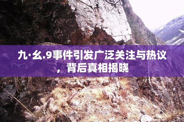 九·幺.9事件引发广泛关注与热议，背后真相揭晓