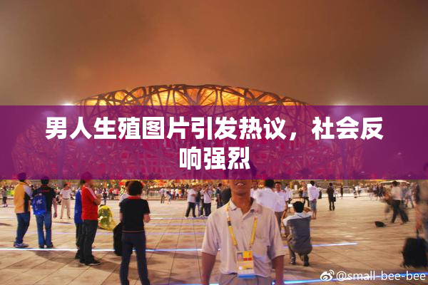 男人生殖图片引发热议，社会反响强烈