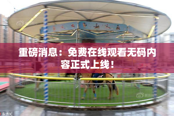 重磅消息：免费在线观看无码内容正式上线！