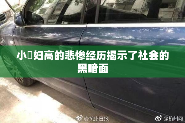 小婬妇高的悲惨经历揭示了社会的黑暗面