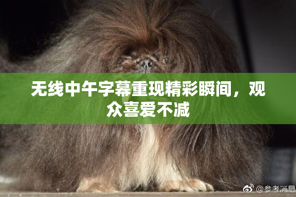 无线中午字幕重现精彩瞬间，观众喜爱不减