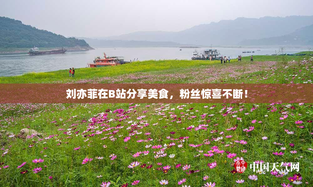 刘亦菲在B站分享美食，粉丝惊喜不断！
