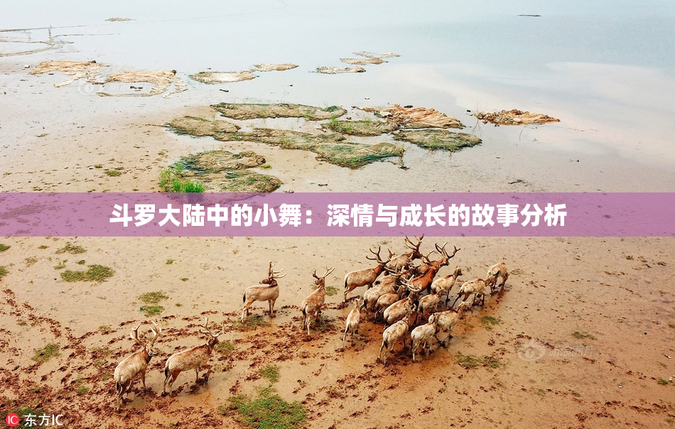 斗罗大陆中的小舞：深情与成长的故事分析