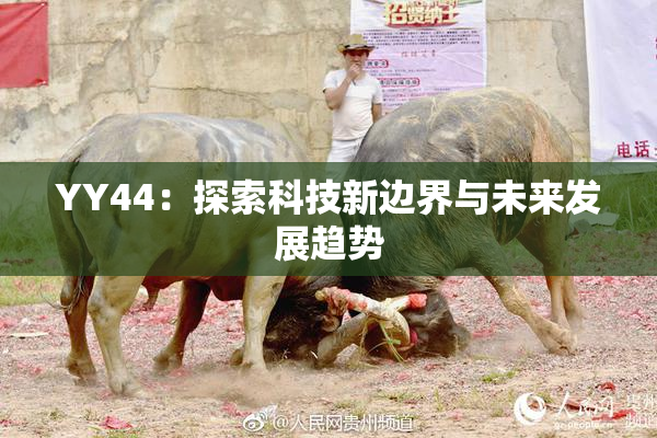 YY44：探索科技新边界与未来发展趋势