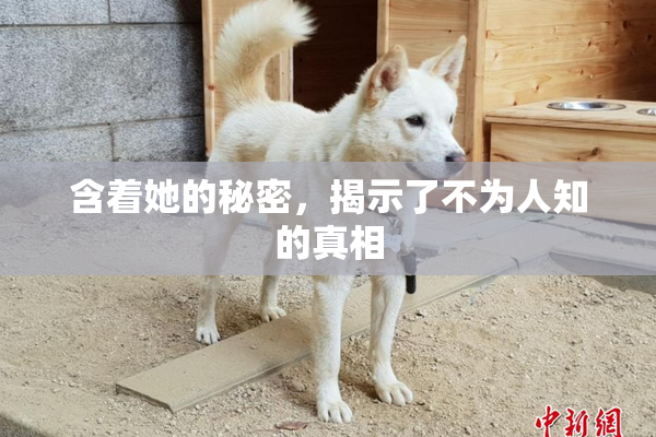 含着她的秘密，揭示了不为人知的真相