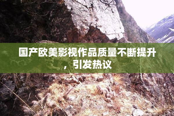 国产欧美影视作品质量不断提升，引发热议