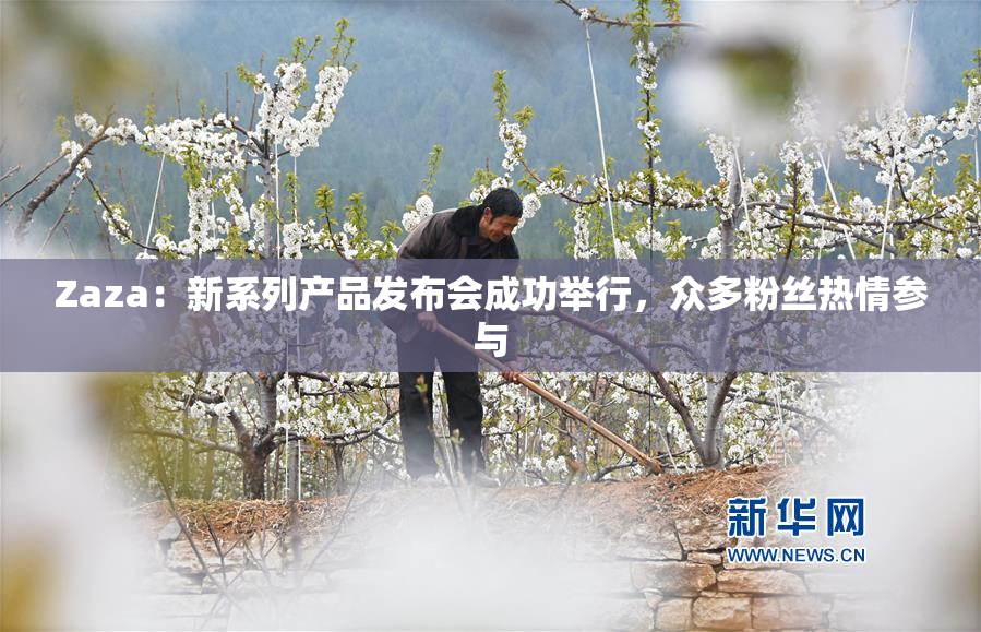 Zaza：新系列产品发布会成功举行，众多粉丝热情参与