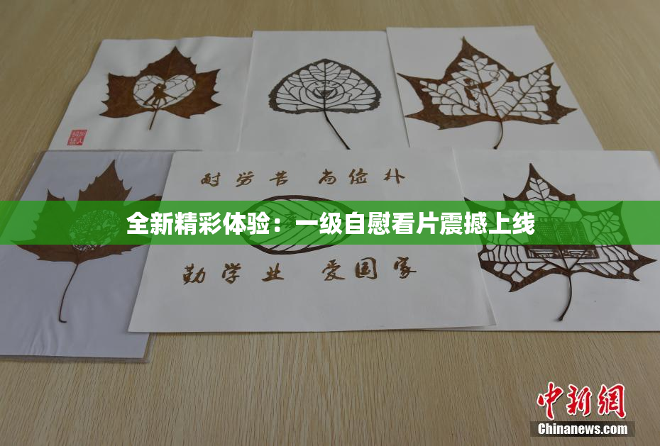全新精彩体验：一级自慰看片震撼上线