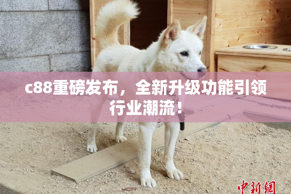 c88重磅发布，全新升级功能引领行业潮流！