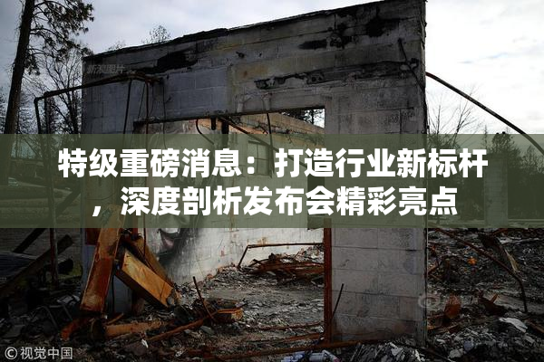 特级重磅消息：打造行业新标杆，深度剖析发布会精彩亮点