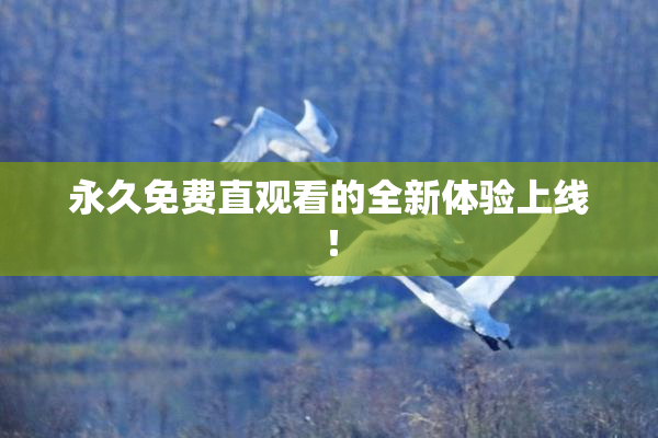永久免费直观看的全新体验上线！