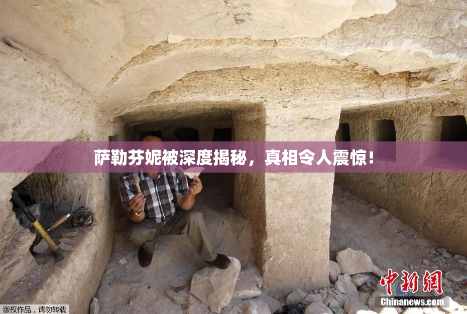 萨勒芬妮被深度揭秘，真相令人震惊！