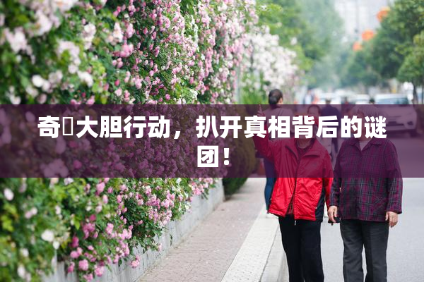 奇犽大胆行动，扒开真相背后的谜团！