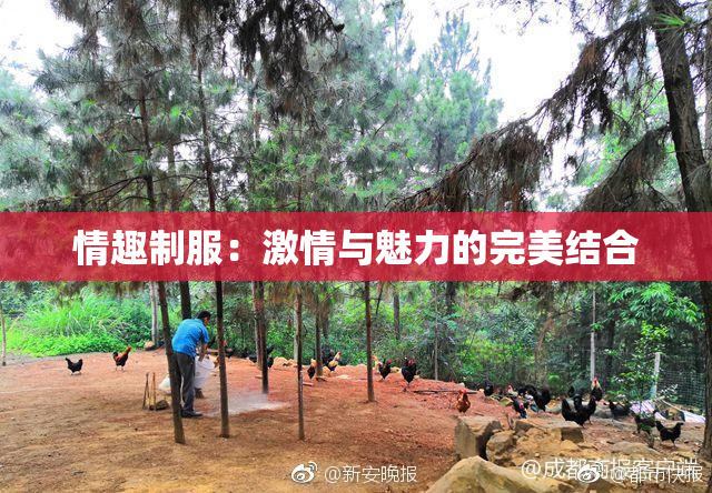 情趣制服：激情与魅力的完美结合