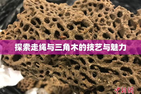 探索走绳与三角木的技艺与魅力