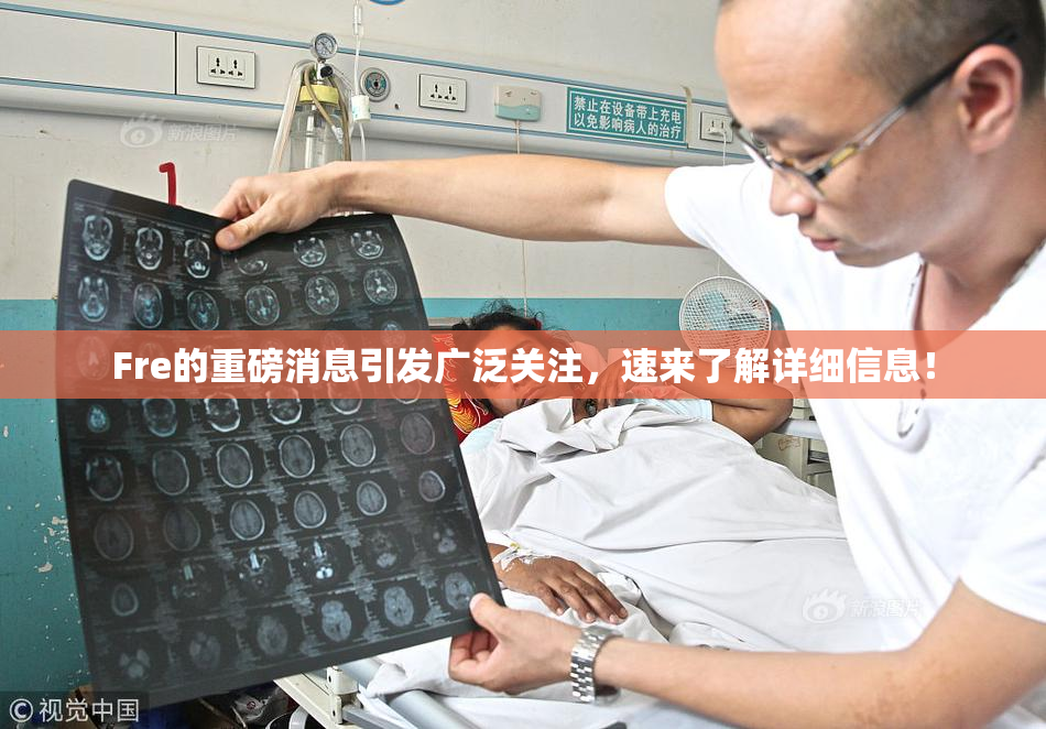Fre的重磅消息引发广泛关注，速来了解详细信息！