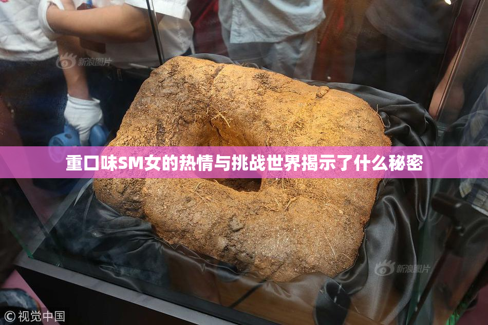 重口味SM女的热情与挑战世界揭示了什么秘密