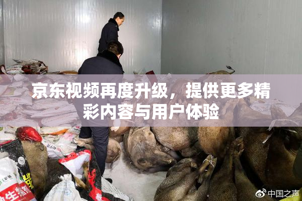 京东视频再度升级，提供更多精彩内容与用户体验