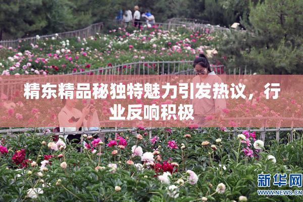 精东精品秘独特魅力引发热议，行业反响积极