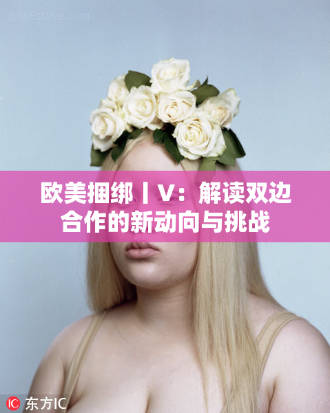 欧美捆绑丨V：解读双边合作的新动向与挑战